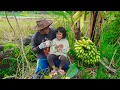 Download Lagu Memetik Pisang di Kebun | Bikin Honkwe Pisang Coklat, Soto Banyumas, dan Mendoan | Kampung Halaman