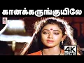 Download Lagu Kaana Karunguyile Song கான‌ கருங்குயிலே காதல் ஓர் பாவமடி இசைஞானி இசையில் மனோ, சித்ரா பாடிய பாடல்