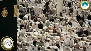 وخدوني معاكم يا زو ار الن بي أميرة كويس 