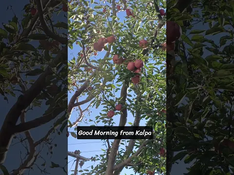 Good morning from Kalpa #somjitbhattacharyya #shorts