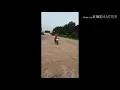 Download Lagu Story wa GOKIL _kereta tiba pukul berapa_lagu iwan fals..!