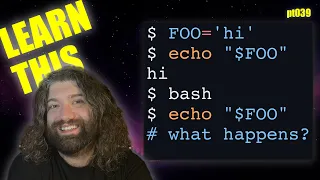 Environmental Variables Understood in Bash and Unix - You Suck at Programming