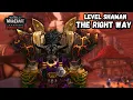 The Only Leveling Shaman Guide You ll Ever Need in WoW Classic
