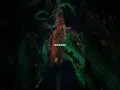 Download Lagu Death Bed - Powfu (Coffee for Your Head ) lyrics | whatsapp Status | English songs | slowed #lyrics