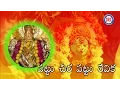 Lagu Pattu Cheera Pattu Revika Video Song  || Telengana  Bonala Songs