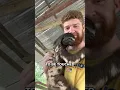 Never Touch A Sloth