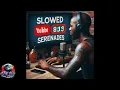 Wizz Havinn - Leave It In Her | (SLOWED) THE VIBE CHECK EXPERIENCE