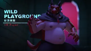 WILD PLAYGROUND VR FIGHT