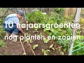 Download Lagu Ini's Moestuin #250 - 10 najaarsgroenten nog planten en zaaien \u0026 winnaars tomatensmaak wedstrijd.