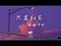Download Lagu 張德伊玲 -  只若初見「輪迴千年與你相伴少一秒都不圓滿」【動態歌詞】♪
