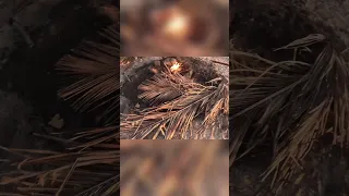 Off grid Fire build on a Tropic Island #offgrid #fire #tropical  #travel #sailinglife