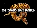 New Ball Python Morph - Created out of Thin Air