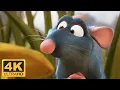 Ratatouille 2007 Opening Scene Remy Introduction Remy Smells Rat Poison Remastered 4K 60FPS