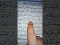 First 4 Verse of Surah Aal Imran by Shaikh Hisham Alharraz #quran #allah #viral #tilawat #best