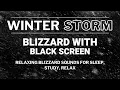 Winter Snow Storm, Cold Wind Howling \u0026 Heavy Snow | Relaxing Blizzard Sounds for Sleep, Study, Relax