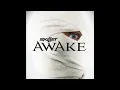 Skillet - Would It Matter [HQ]