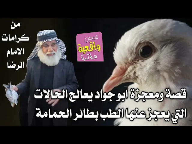 ⁣قصة ومعجزة ابو جواد الذي يعالج الناس والحالات التي يعجز عنها الطب بطائر الحمامة بكرامة الامام الرضا