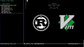Vim plugins for Rust development