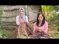 Download Lagu WOOW...BIKIN BETAH HIDUP DI KAMPUNG BANYAK GADIS DESA CANTIK2 MASIH SINGLE LAGI NUNGGU YANG SERIUS