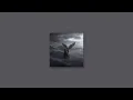 shadow - livingston