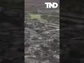Over 1 700 buildings have been destroyed in the Hawaii wildfires according to officals