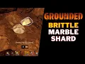 Where To Find Brittle Marble Shard in Grounded Brittle Marble Shard Location