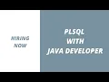 PLSQL Developer Java Developer PLSQL Java Jobs PLSQL Developer Jobs Java Developer Jobs