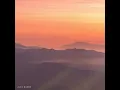 Soft Focus - Alex Baker