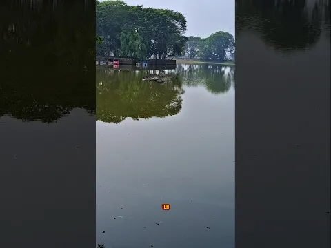 guys,ibu ngeliat sesuatu di danai itu😨😱