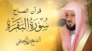 Surat Al Baqarah With Duaa Maher Al Muaiqly سورة البقرة مع الدعاء الشيخ ماهر المعيقلي 