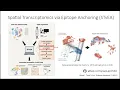 Transcriptome Guided Analysis of Highly Multiplexed Immunohistochemistry Images