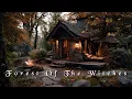 Lagu Forest Of The Witches 🪄 Relaxing \u0026 Calm Celtic Ambient Music🌿Magical Music🌳Witchcraft Music ✨
