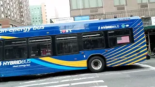 MTA NYCT Novabus LFS HEV on the M11 bus