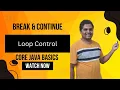 Break and Continue in Java Controlled Loops