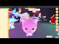 whats a pink cat worth in adopt me