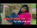 Download Lagu Ervi Karina - Aku Tercipta Untukmu (Jawaban Cintaku Tergusur)