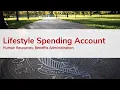 Lifestyle Spending Account LSA