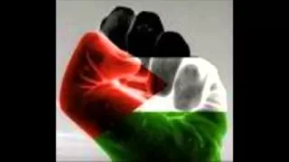 Islamic Wedding Dabka Nice ج ل لو للميهيرة زفة العريس 