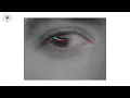 We Built An Open Source VR Eye Tracker