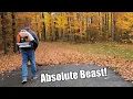 Stihl BR 800 X Magnum Is A Beast 912 cfm 239 mph Equals Crazy Power