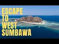 Download Lagu Ontsnap naar West-Sumbawa: surfen, stilte en walvishaaien! #Indonesië #SurfTrip #WhaleShark #Sumbawa