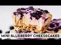 No-Bake Mini Blueberry Cheesecakes vegan gluten-free date-sweetened