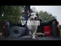 Pets Are Family Out Here Tractor Supply