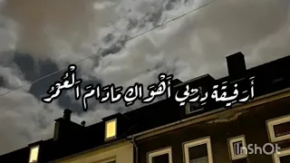 عيناها قمران وفيها يحتار القدرة    دندنها