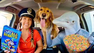 Rubber Ducky Surprises Police, Dolphin & Puppy With Car Ride Chase