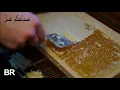 صباح الخير - نبيل شعيل