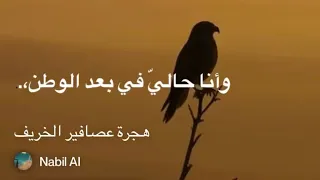 هجرة عصافير الخريف دندنها