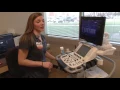 Brittany - Echo Tech