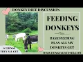Feeding Donkeys 6 Things ALL my Donkeys get Fed Base Feeding Plan for Donkeys