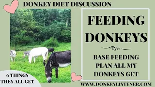 Feeding Donkeys 6 Things ALL my Donkeys get Fed Base Feeding Plan for Donkeys